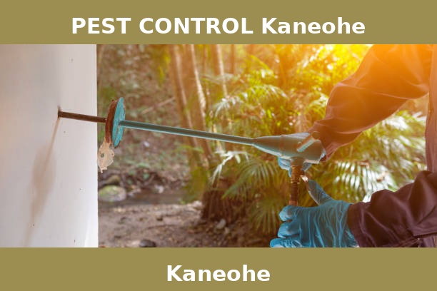 PEST CONTROL Kaneohe